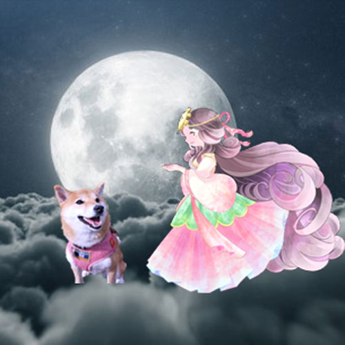 柴犬ハチは夢で月で綺麗なお姉さんに出会いました。