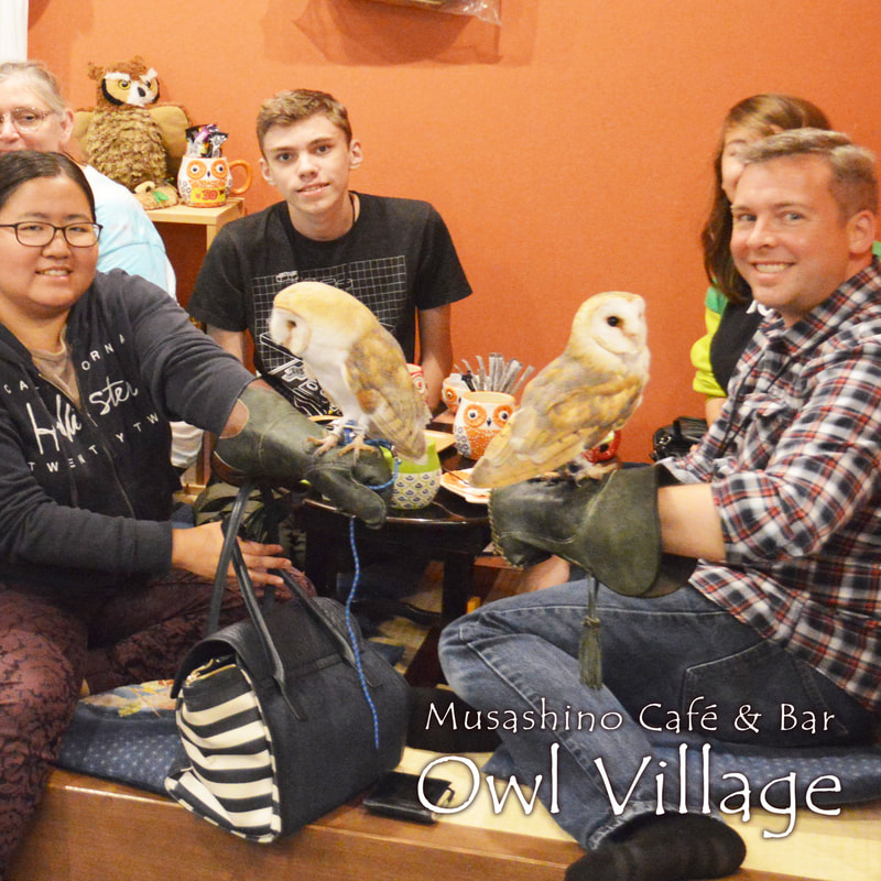 ふくろうカフェ原宿でメンフクロウと楽しむ外国旅行者