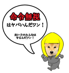 柴犬ハチ　大阪で初の命令違反か！　