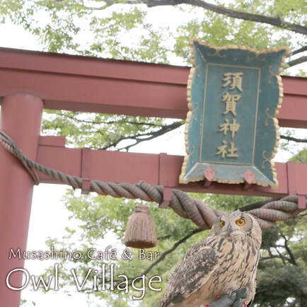 ふくろうカフェ原宿のベンガルワシミミズクは須賀神社にいきました。