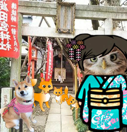ふくろうカフェ原宿の柴犬ハチは四谷於岩稲荷田宮神社に御礼にいきました。