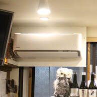フクロウカフェ原宿では換気機能付きエアコンを設置しています。