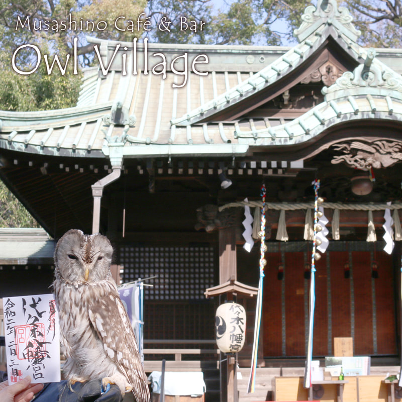 ふくろうカフェ原宿のモリフクロウは代々木八幡宮の御朱印と記念撮影